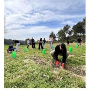 Team Building para empresas<<alt>>